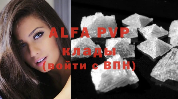 трава Белокуриха