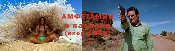 индика Богданович