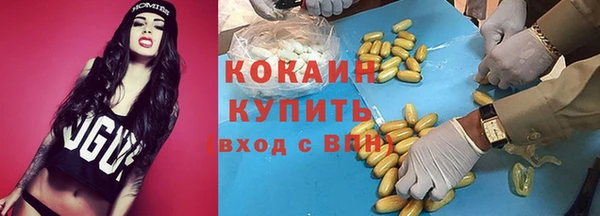 гашик Бородино