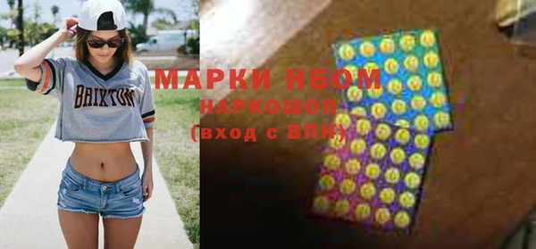 гашик Бородино