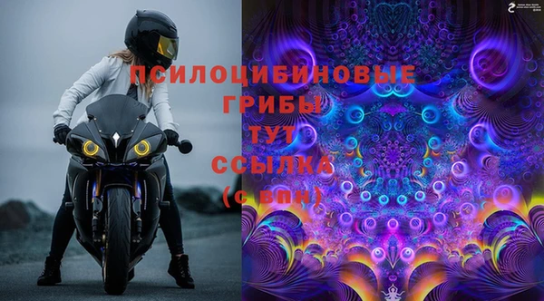 кокс Богородицк