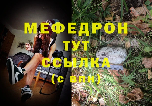 гашик Бородино