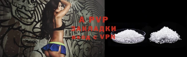 индика Богданович