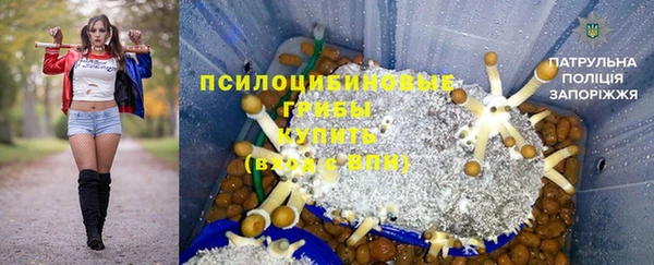 герыч Бронницы