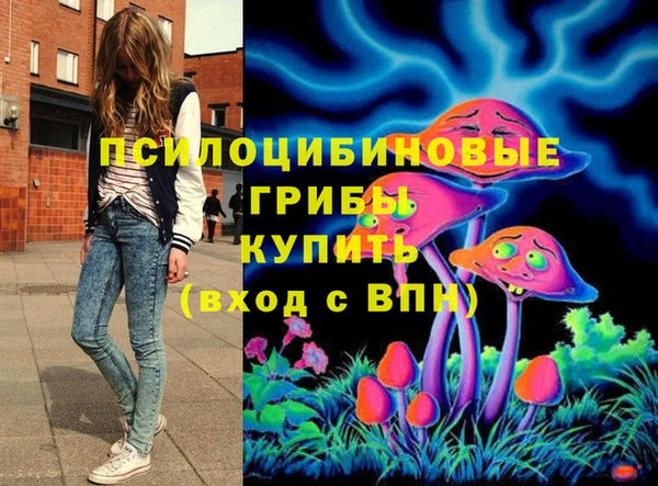 кокс Богородицк