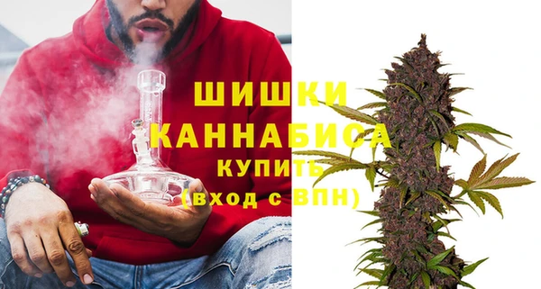 индика Богданович