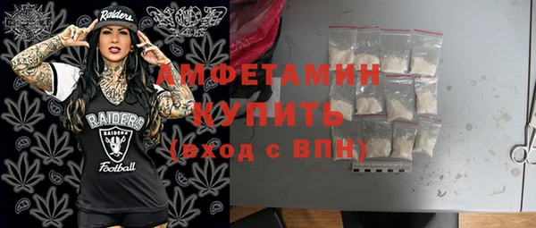 индика Богданович