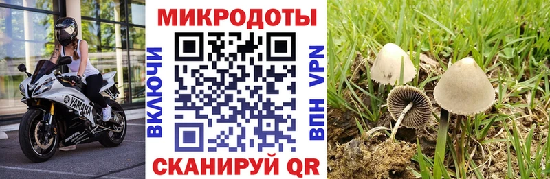 наркошоп  Верхняя Тура  Галлюциногенные грибы Magic Shrooms 